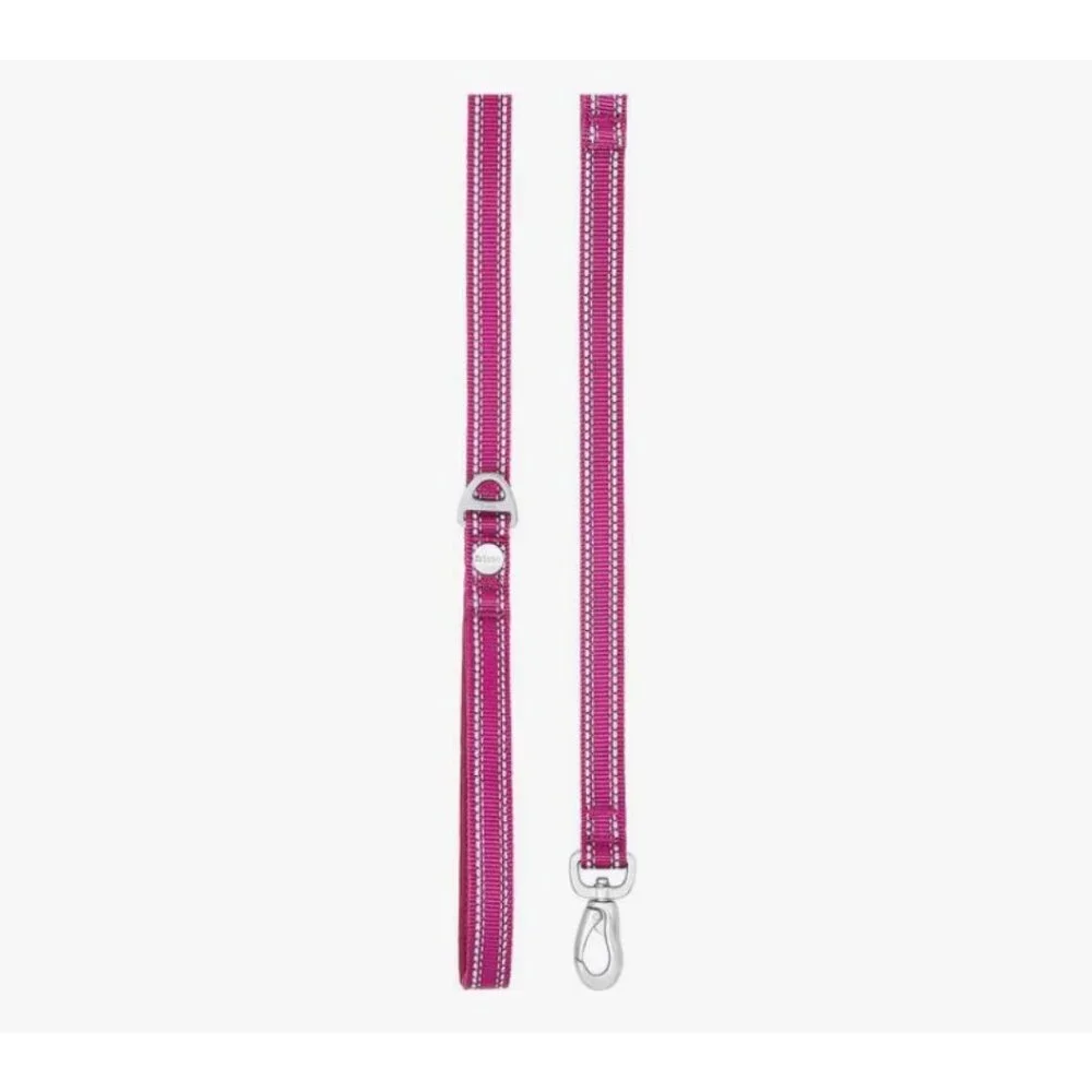 NEW Frisco 6ft Dog Leash Nylon Reflective Comfort Padded Handles Purple 1